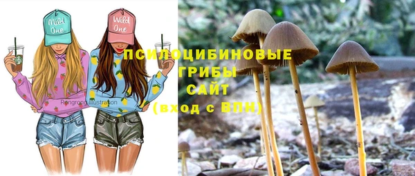мдпв Магадан