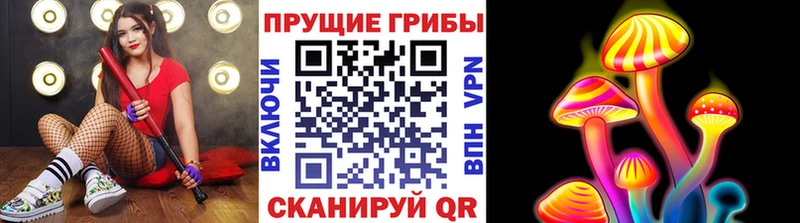 Купить  Полевской  Галлюциногенные грибы Magic Shrooms 